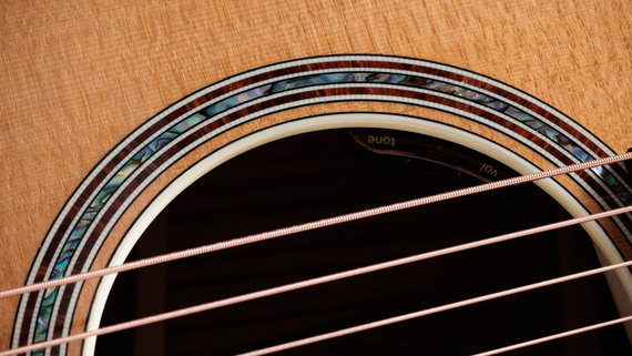 Taylor Gold Label 814e - gitara elektroakustyczna