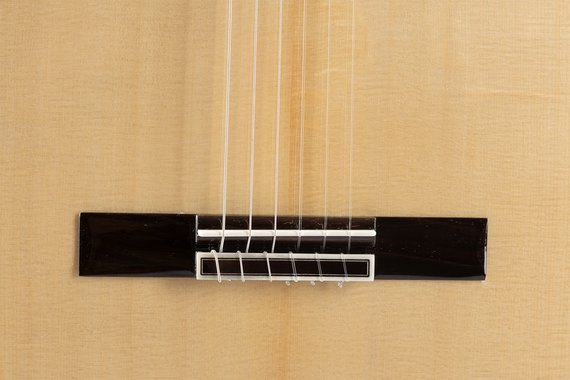 Admira Cristina - gitara klasyczna