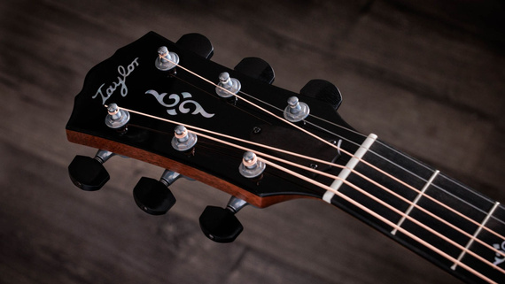 Taylor Gold Label 814e - gitara elektroakustyczna