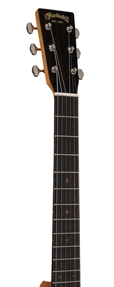 Martin DSS Biosphere II gitara akustyczna