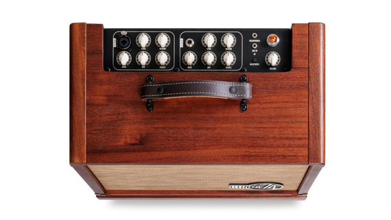 Taylor CIRCA 74,AV150-10,AMP w/STAND,MAHG-EU/SK - wzmacniacz akustyczny