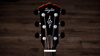Taylor Gold Label 814e - gitara elektroakustyczna