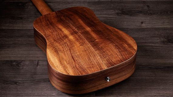 Taylor BT Koa gitara akustyczna